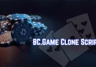 How the Star Wins Update Is Boosting Demand for BC.Game Clone Script Solutions?