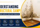 Understanding Structural Damp Beyond Surface Moisture Problems