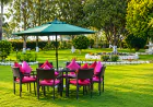Tea Garden Tourism in India: Why Choose Tea Resorts