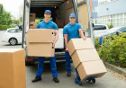 Why Choosing the Right Auckland Movers and Packers Makes All the Difference