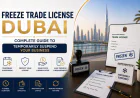 Freeze Trade License Dubai: Complete Guide to Temporarily Suspend Your Business