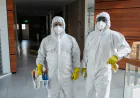 How Singapore’s Top Mould Removal Companies Keep Homes Safe