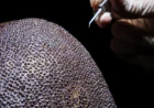 Best FUE Hair Transplant Clinic: How to Choose the Right Clinic for Your Hair Restoration Journey