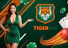 Tiger365 Registration & Verification Guide 2026: Fast KYC & Profile Setup