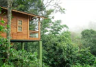 Plantation Resorts in Kerala: Discover Nature, Heritage & Luxury at Misty Mountain Experience