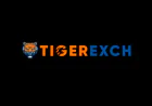 Tiger365: An Informational Overview of the Online Gaming Platform