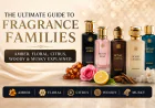 The Ultimate Guide to Fragrance Families: Amber, Floral, Citrus, Woody & Musky Explained