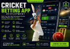 Cricket Exchange Software Development | Live Betting API Solutions