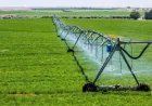 Why Is Proper Drainage Important for a Lawn Sprinkler Irrigation System?