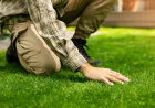 Professional Lawn Care Trophy Club Near Me TX