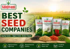 Best Seed Companies(Sanjivaniseeds): A Complete Guide for Farmers