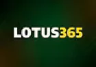 Why Lotus Cricket Live Is Becoming Popular Among Cricket Betting Fans