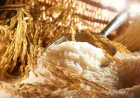 Rice Gluten Meal Manufacturers in India: What Buyers Should Know Before Choosing a Reliable Supplier