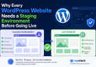 Why Every WordPress Website Needs a Staging Environment Before Going Live