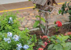 How to Design a Garden That Attracts Birds Naturally