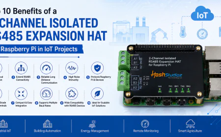 Top 10 Benefits of a 2-Channel Isolated RS485 Expansion HAT for Raspberry Pi in IoT Projects