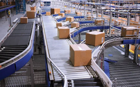 How Vertical Conveyors Keep Modern Farms Moving