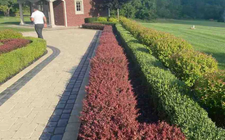 Choosing a Michigan Landscape Designer: Questions to Ask Before You Sign