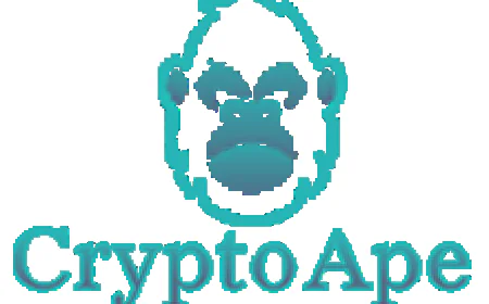Opensea clone script -  Discover, Collect & Own Digital Assets: Your Gateway to the World of NFTs