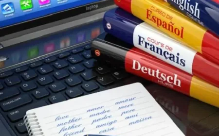 Discovering Clarity in Every Translated Word
