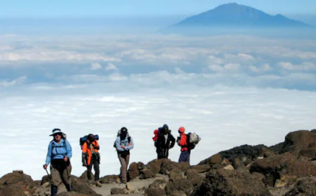 Climbing Kilimanjaro Guide: Everything You Need to Know Before Africa's Highest Summit Adventure