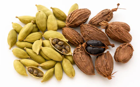 Healthpally FAQS About Cardamom Herb