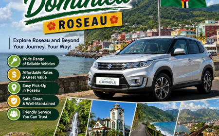 Why Choose Car Rental Dominica Roseau by Capable Car Rental?