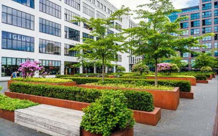Commercial Landscaping Melbourne: Expert Strategies for Building Functional, Eco-Friendly, and Future-Ready Outdoor Spaces