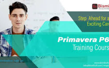 Does BismilSoft Provide Primavera P6 Certification Guidance?