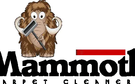 The Complete Guide to Carpet Sanitization Services: Benefits, Process, and Maintenance Tips