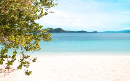 EL Nido vs Coron Ferry or Private Boat Which is Better