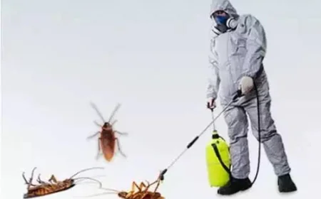 Cockroach Removal Pickerng Tips for a Cleaner Home