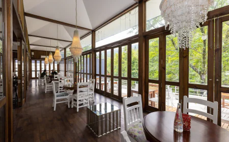 Cafe in Dehradun: Discover a Nature-Inspired Dining Experience at Foresta Cafe