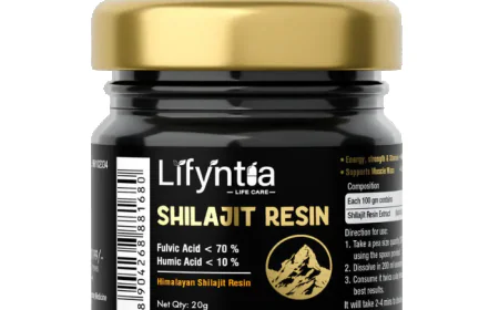 The Ultimate Guide to Shilajit Resin and its Health Benefits for Men