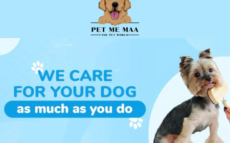 Dog Cafe Near Me: Why Pet Me Maa Is the Favorite Hangout for Dogs and Pet Parents in Noida