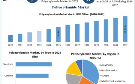 Polyacrylamide Market Size, Growth, and Revenue Forecast Analysis