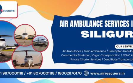 Specialized Air Ambulance Services in Siliguri with Intensive Care