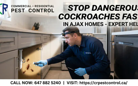 Stop Dangerous Cockroaches Fast in Ajax Homes - Expert Help