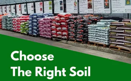 Potting Soil vs Garden Soil: East Bay Guide