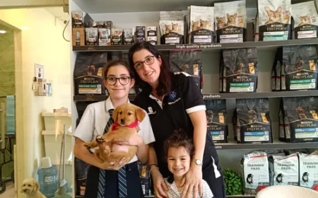 Effective Professional Dog Training Dubai for Your New Pet