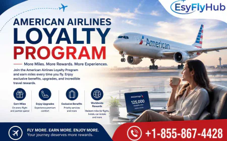 American Airlines Loyalty Program Benefits for Frequent Travelers