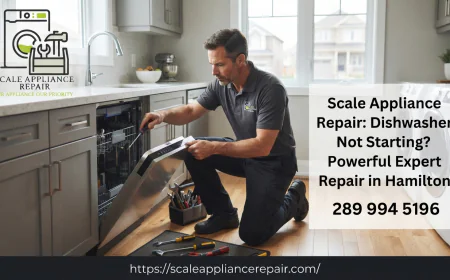 Dishwasher Not Starting? Powerful Expert Repair in Hamilton