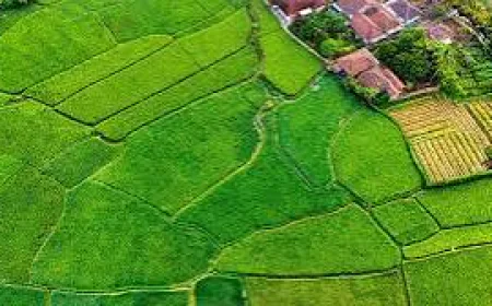 Hiranandani Plots Nagpur: A Premium Address for Modern Families