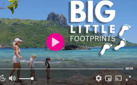Affordable OTT Distribution Services in Usa: The Smart Choice for Independent Content Creators