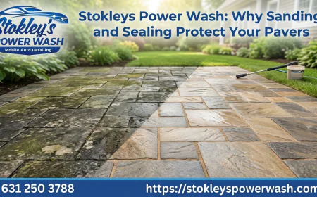 Why Sanding and Sealing Protect Your Pavers