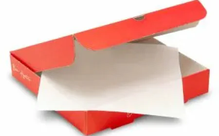 Pizza Box Liner Guide For Clean Food Delivery
