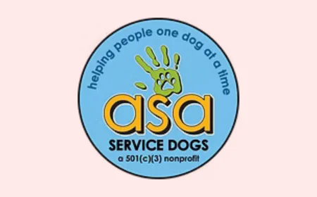 Service Dog for Child with Autism: Building Confidence, Safety, and Daily Independence