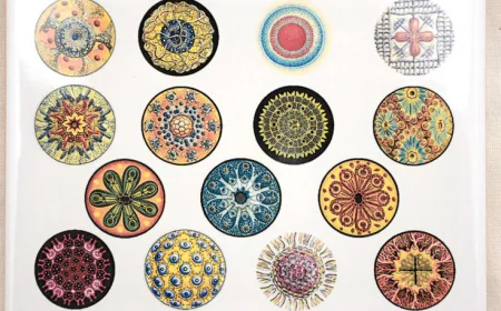 Circle Decals for Clean and Simple Everyday Design