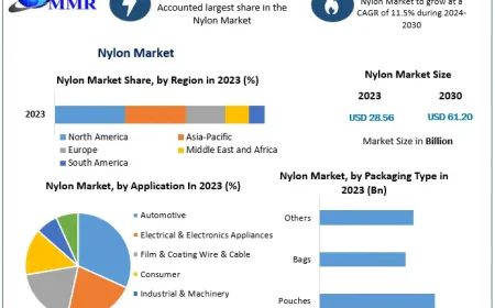 Nylon Market Growth Drivers and Revenue Forecast Analysis