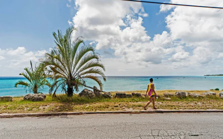 North America eSIM: The Easiest Way for Barbados Travelers to Stay Connected